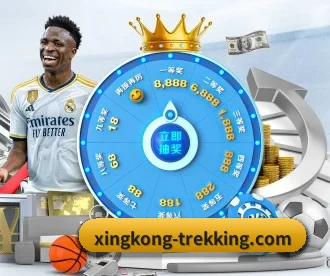 xingkong.com APP 深度功能