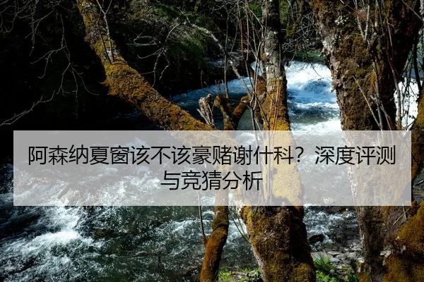 阿森纳夏窗该不该豪赌谢什科？深度评测与竞猜分析